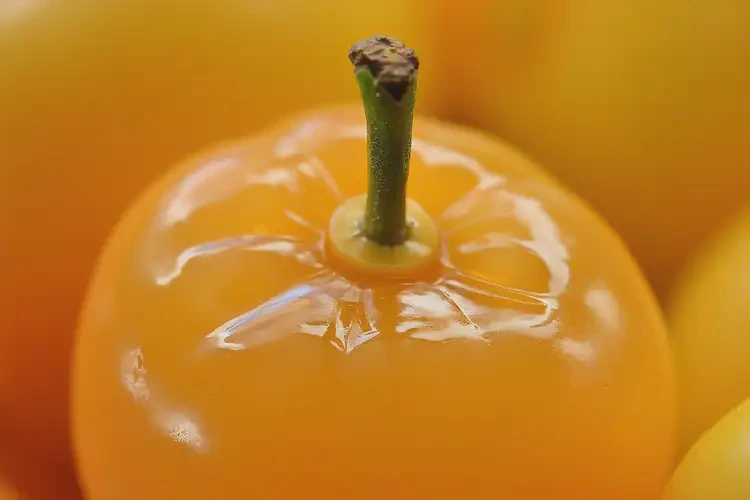 懷孕60天可以吃燈籠果嗎(圖1)