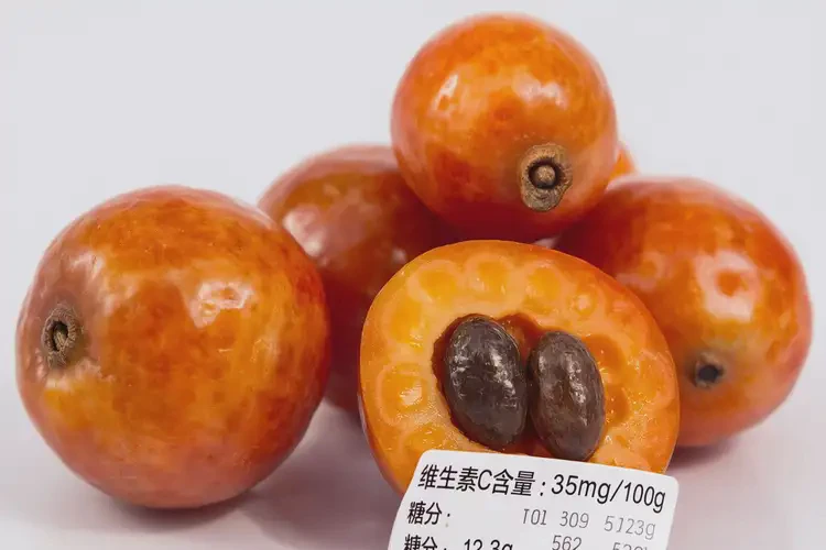 懷孕九個半月可以吃酸角果嗎(圖3)