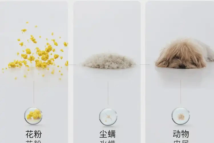 女生大腿上容易長濕疹不管它會自己痊愈嗎(圖1)