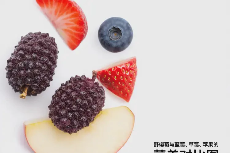 孕31周6天吃野櫻莓可以嗎(圖3)