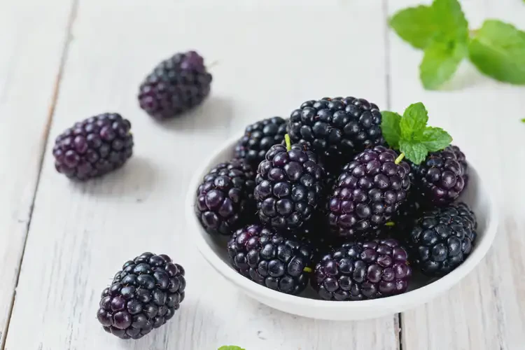 懷孕35周可以吃黑莓嗎(圖4)