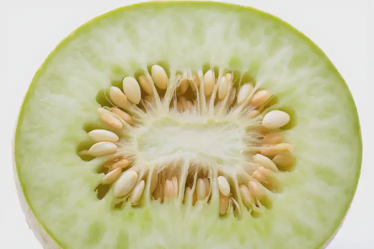 怀孕80天吃刺角瓜可以吗(图3)