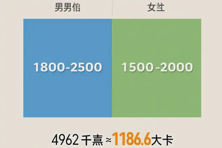 4962千焦等于多少热量(图2)