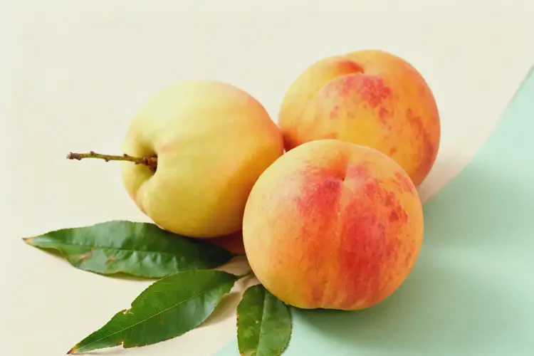 懷孕1個多月可以吃油桃嗎(圖3)