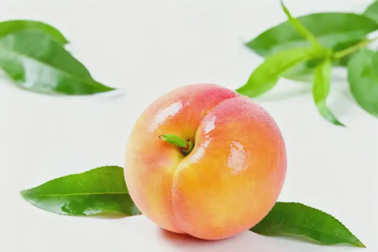 懷孕1個多月可以吃油桃嗎(圖4)