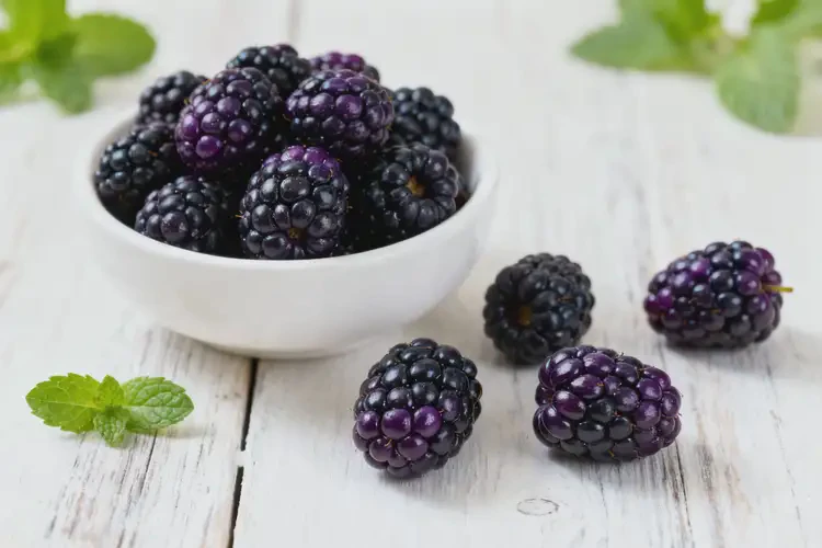 懷孕35周可以吃黑莓嗎(圖2)