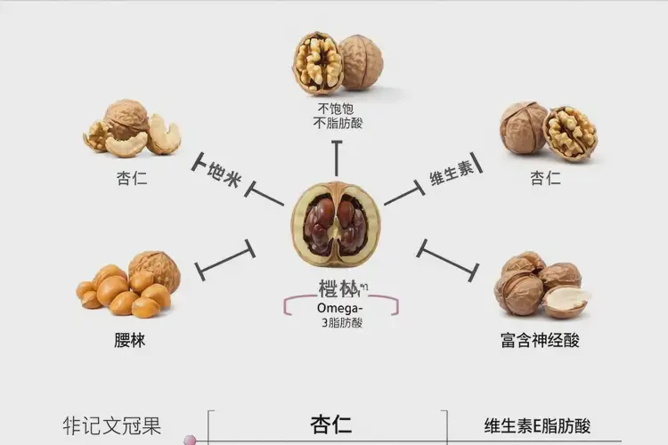 孕28周6天吃文冠果可以嗎(圖1)
