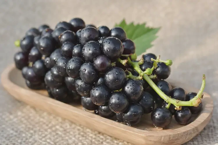 懷孕第33周吃黑醋栗可以嗎(圖3)