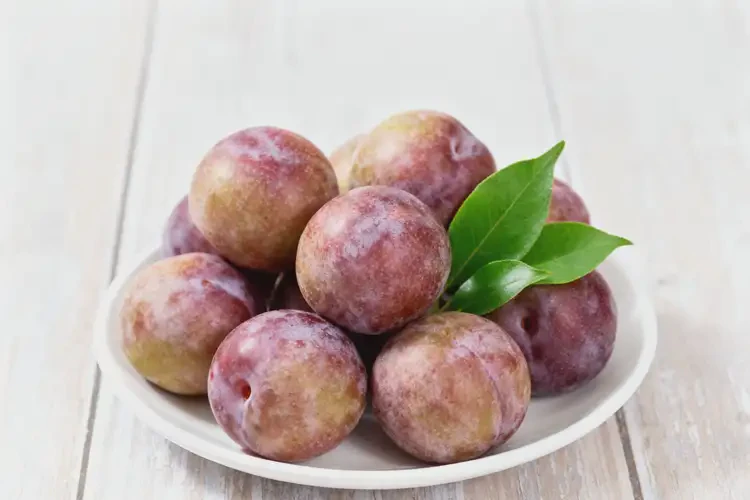 懷孕23周吃李子可以嗎(圖2)