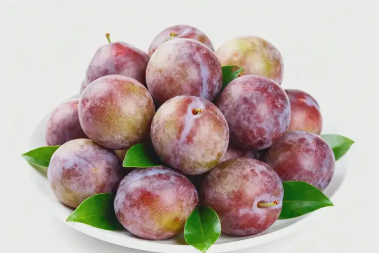 懷孕23周吃李子可以嗎(圖4)