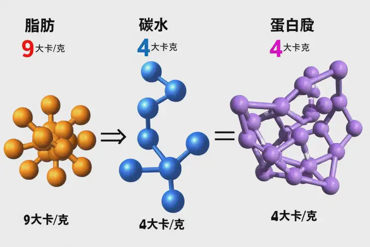 100克2463千焦等于多少热量(图2)