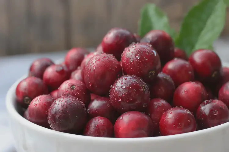 懷孕40多天吃蔓越莓可以嗎(圖3)