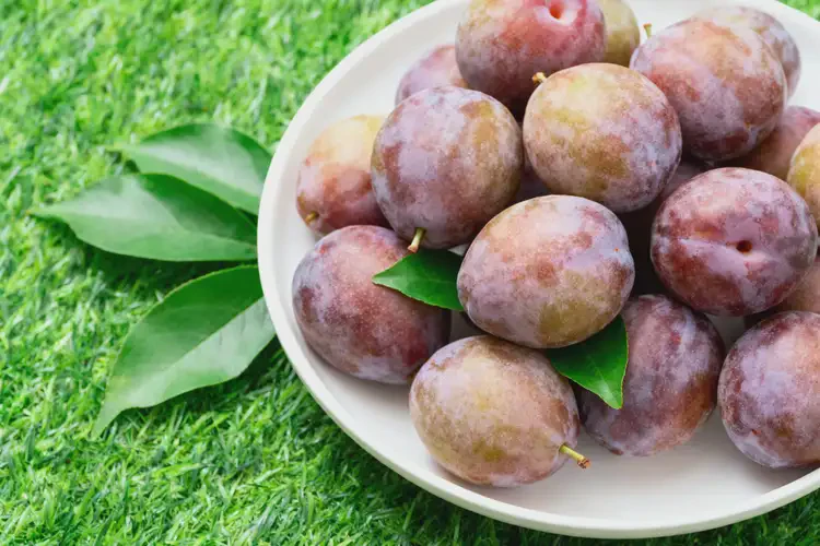 懷孕23周吃李子可以嗎(圖1)