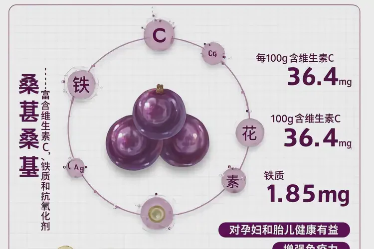 孕28周4天吃桑椹可以嗎(圖1)