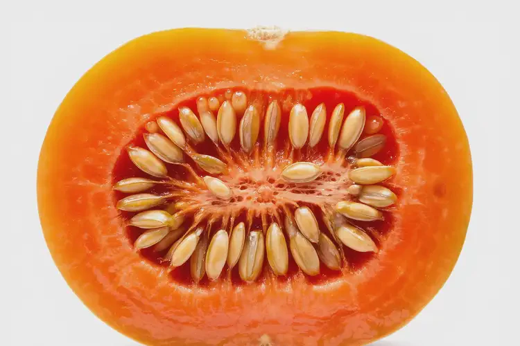 青春期女生吃香瓜茄可以嗎(圖3)