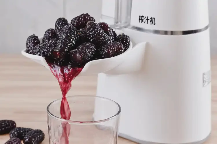 孕28周4天吃桑椹可以嗎(圖3)