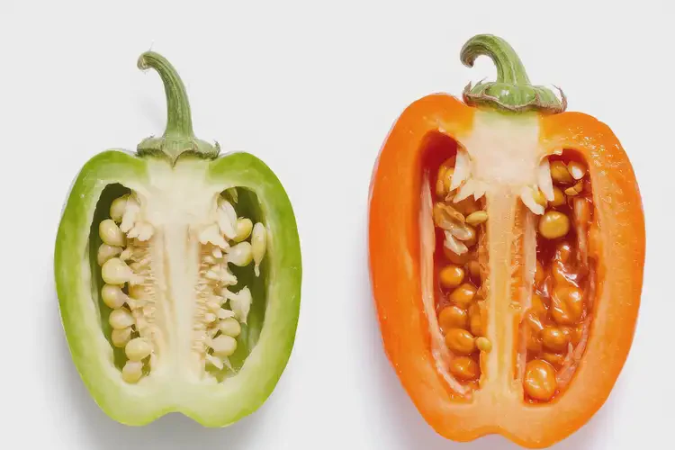 青春期女生吃香瓜茄可以嗎(圖1)