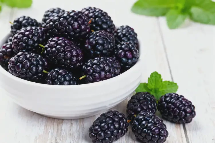 懷孕35周可以吃黑莓嗎(圖1)