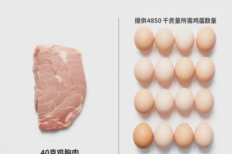 40克4850千焦相当于多少食物(图3)