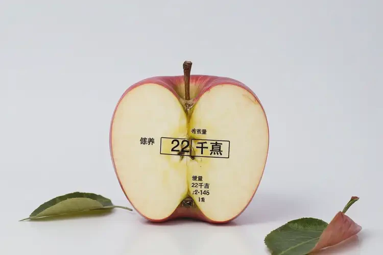 22千焦热量相当于多少食物(图4)