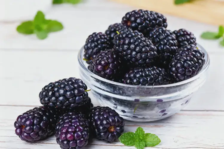 懷孕35周可以吃黑莓嗎(圖3)