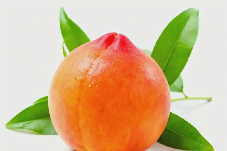 懷孕1個多月可以吃油桃嗎(圖1)