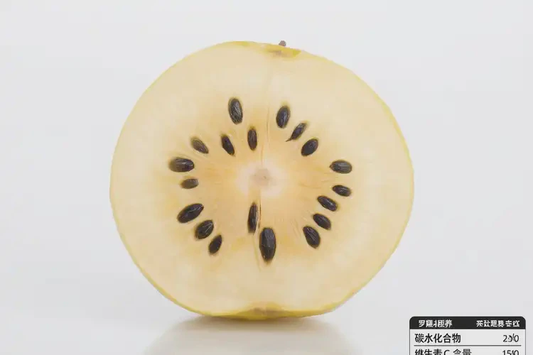 懷孕一個多月吃羅漢果可以嗎(圖3)