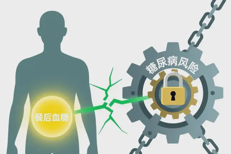 成年人中餐血糖18點5是糖尿病嗎(圖3)