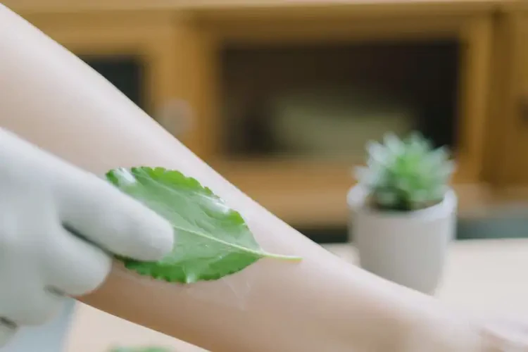 老人小腿上出濕疹可不可以根治(圖2)