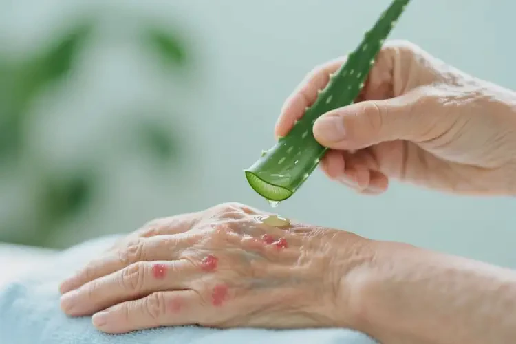 高齡老人手上經(jīng)常起濕疹可不可以徹底自愈(圖1)