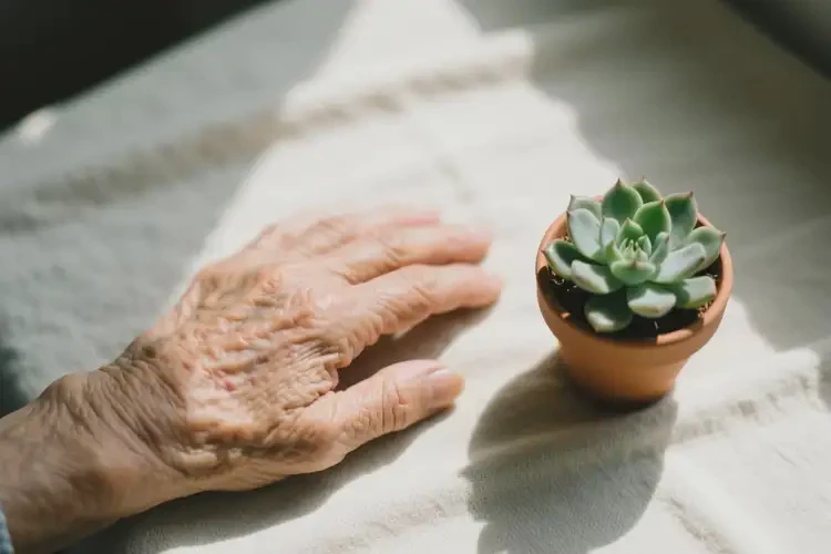 老年人手上偶爾起濕疹可不可以根治(圖2)
