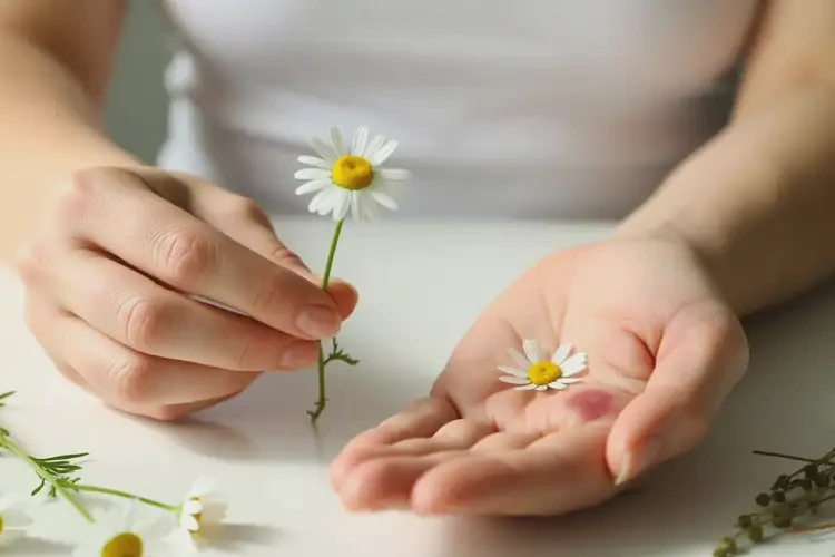 女性手上長濕疹可以治好嗎(圖1)