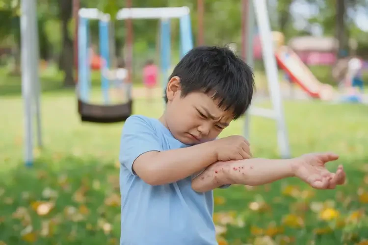 小學(xué)生四肢出濕疹可不可以根治(圖1)