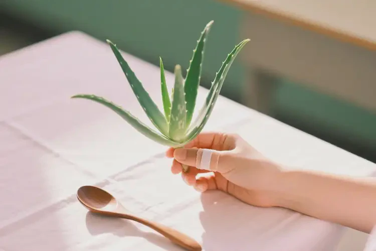 大學(xué)生手上起濕疹可不可以根治(圖1)