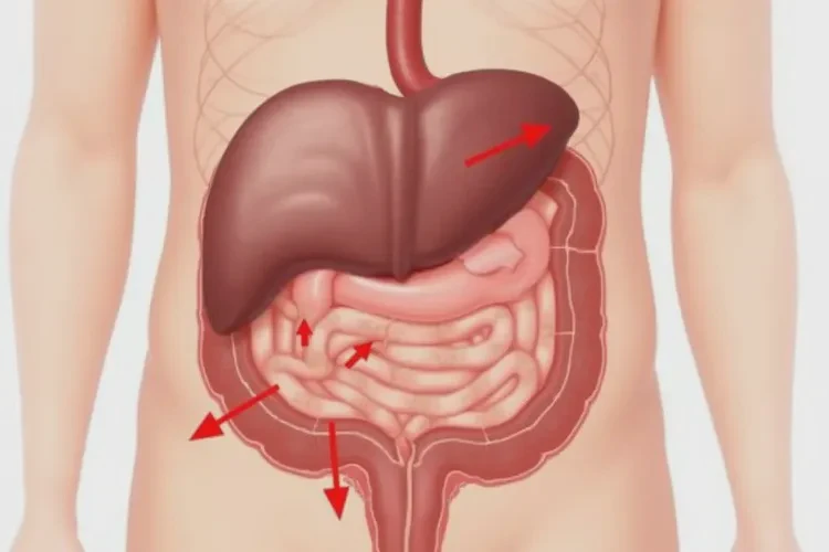 27歲晚上血糖6.4是怎么回事(圖2)
