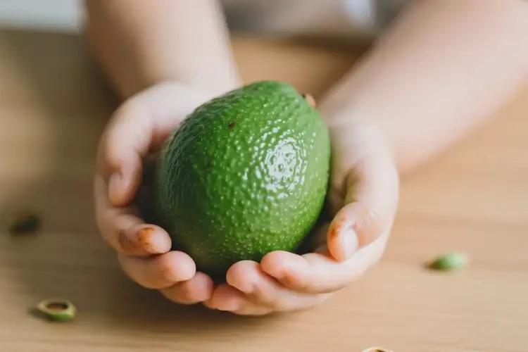 孩子手上偶爾起濕疹可以治好嗎(圖1)