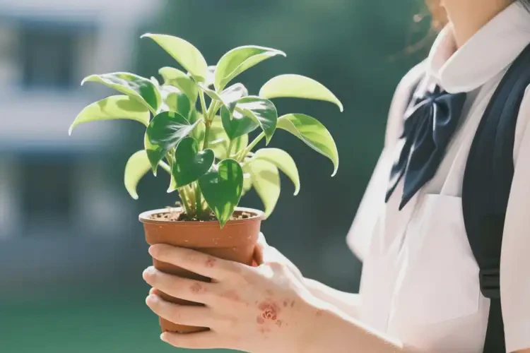 大学生身上起湿疹可以治好吗(图4)