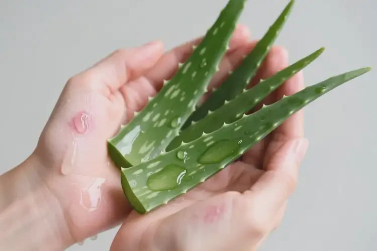 青年人手上偶尔长湿疹可以治好吗(图2)