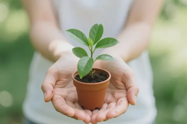 女人四肢偶尔长湿疹可以治好吗(图2)