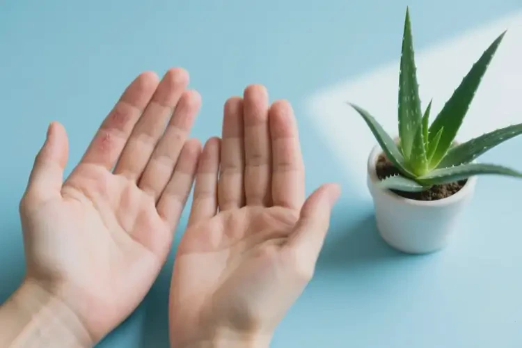 大学生手上容易长湿疹可以治好吗(图4)