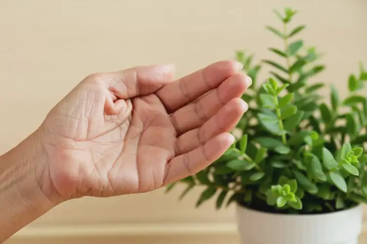 老年人手上偶尔长湿疹能治好吗(图2)