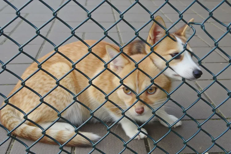 小学生肛周容易起湿疹能根治吗(图2)