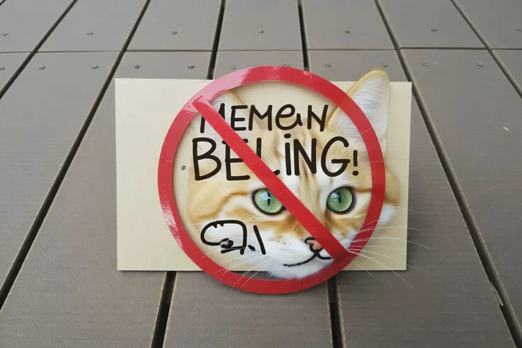 大学生肛周长湿疹能靠自己自愈吗(图1)