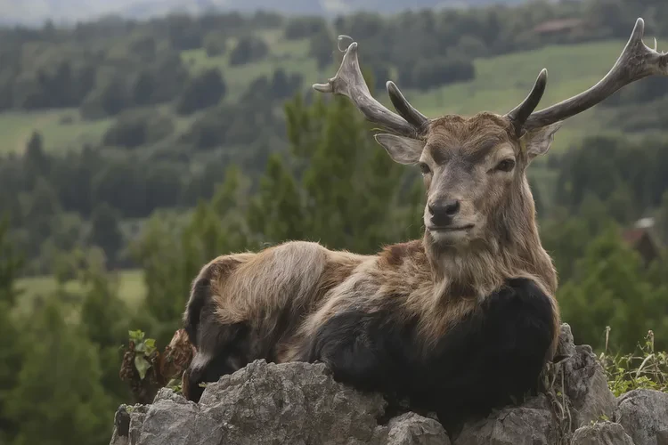 30岁中餐血糖27.0是怎么回事(图4)