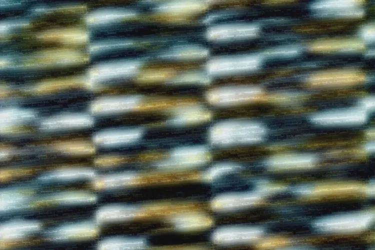 31岁下午血糖19点7是怎么回事(图4)