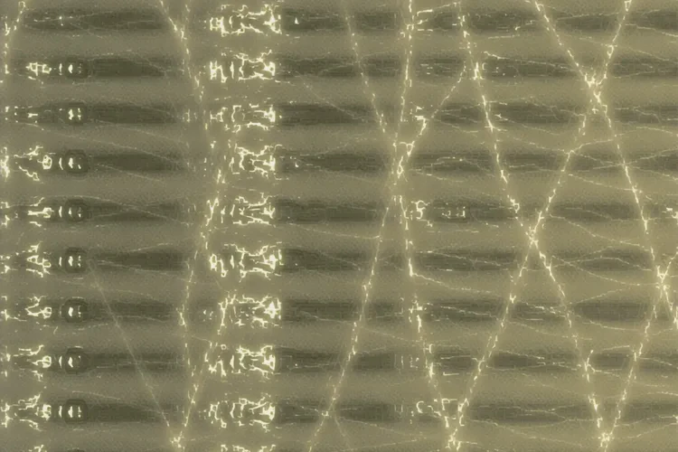 36岁餐后血糖19.7是怎么回事(图4)