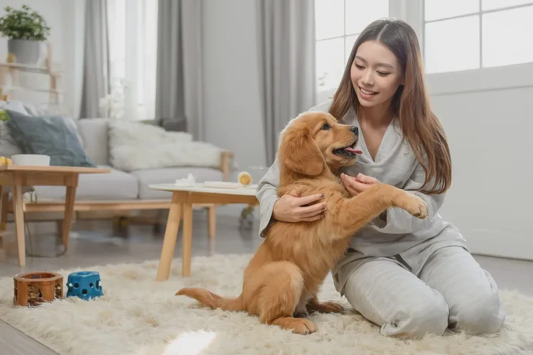 三个月了幼犬还没打疫苗怎么办(图1)