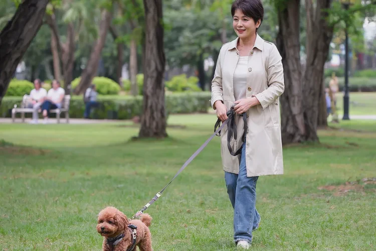 狗狗不打疫苗可以养吗(图2)