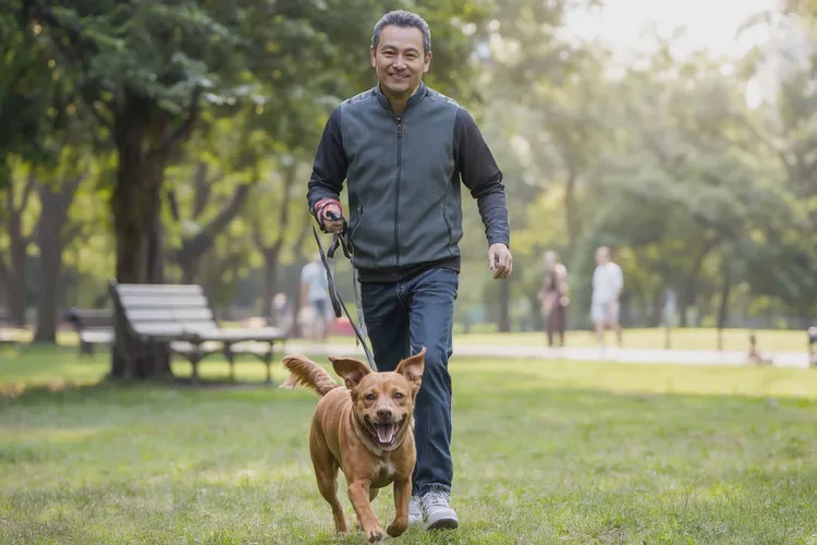 打完疫苗后多久驅(qū)蟲(chóng)(圖4)