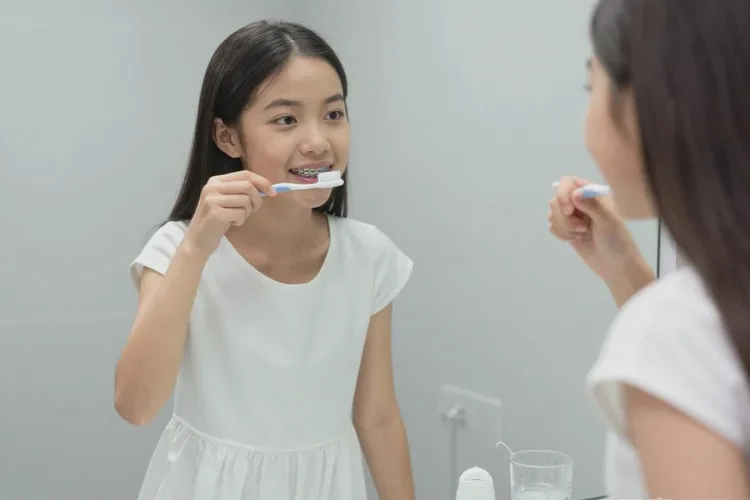 正畸時牙齒松動的原因是什么呢(圖2)